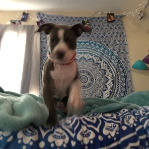 Meet your Posher, Katlyn